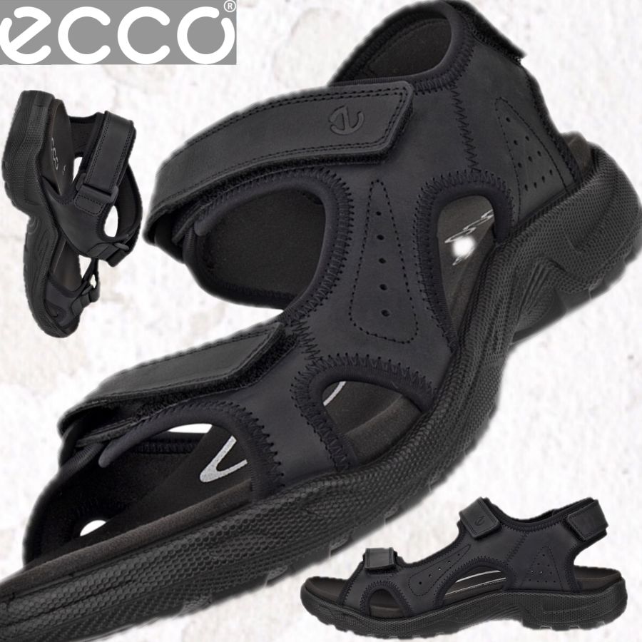 Ecco