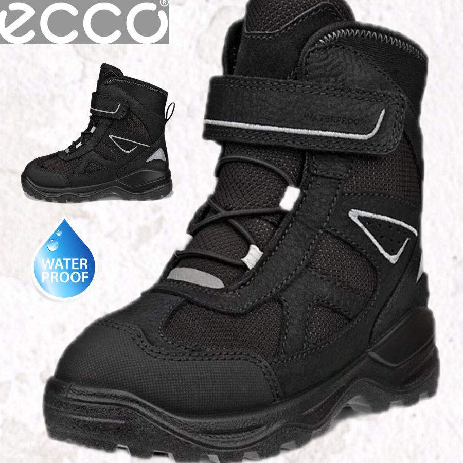 Ecco