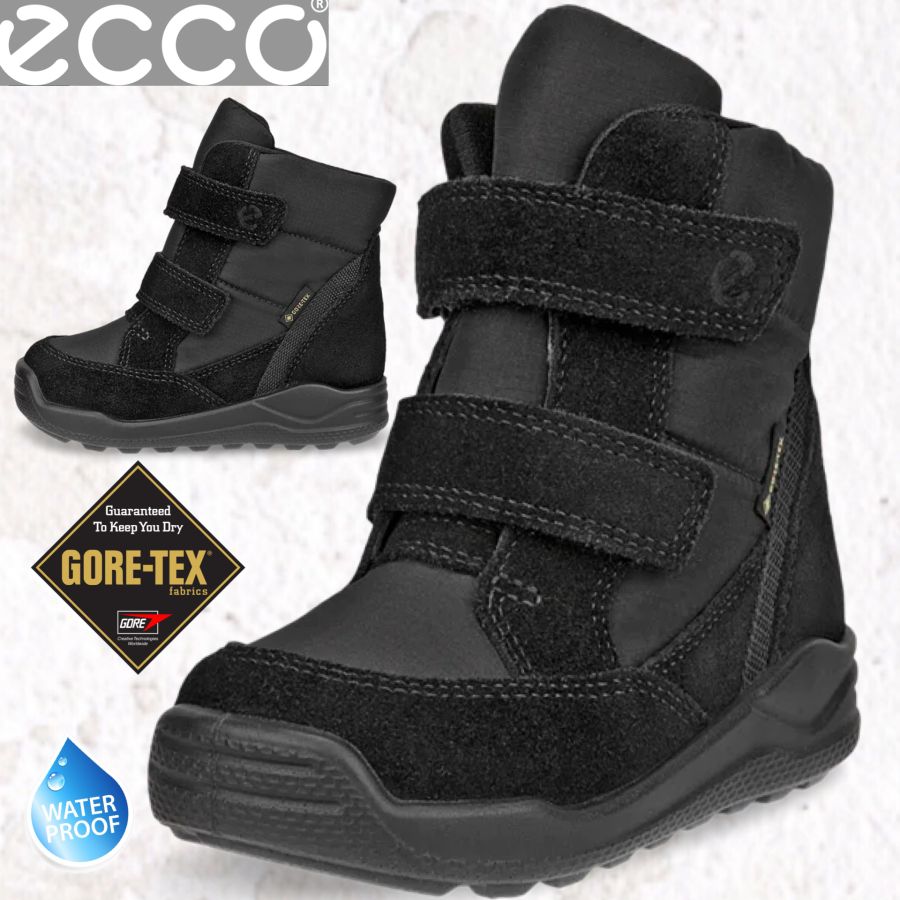 Ecco