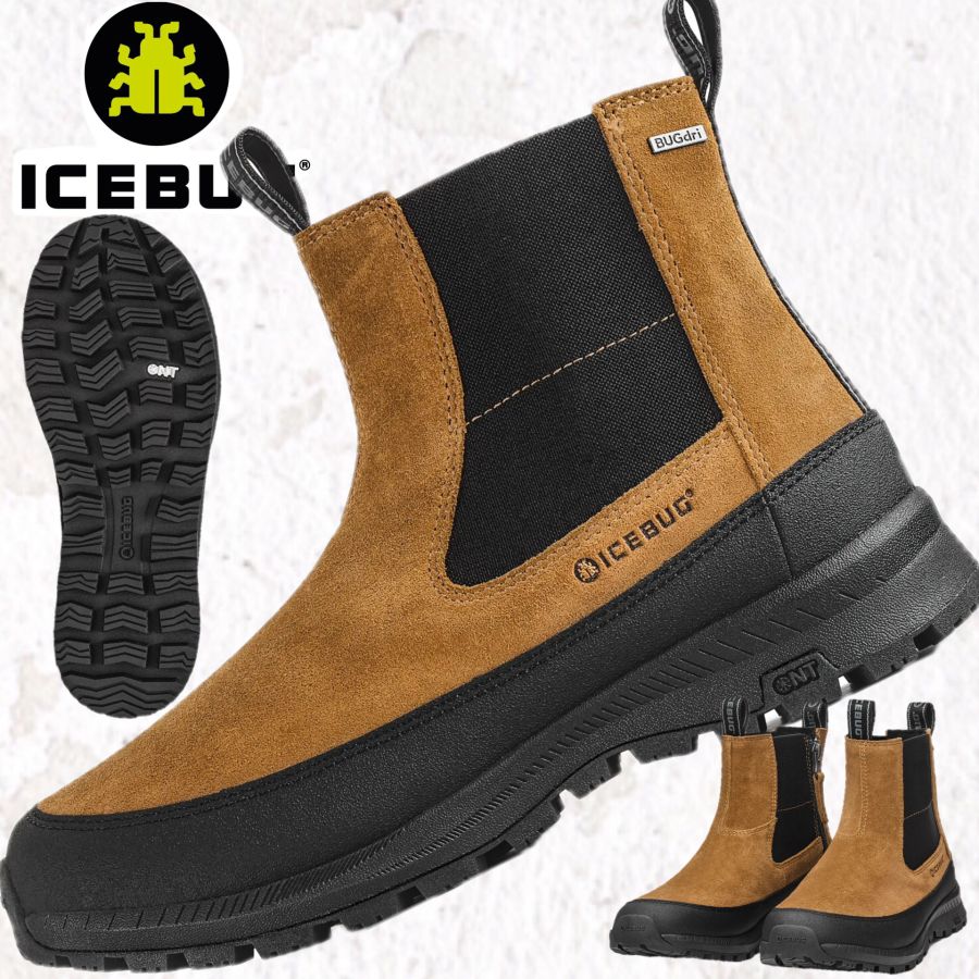 Icebug