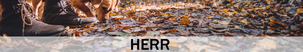 Våra kängor och boots för herrar