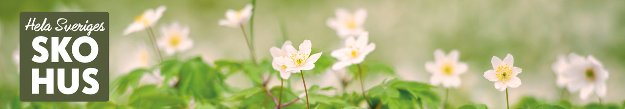 Hela Sveriges skohus